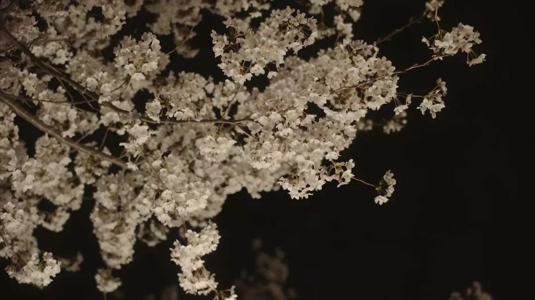 在禁忌的边缘疯狂撩拨,今夏最暧昧韩剧非它莫属!