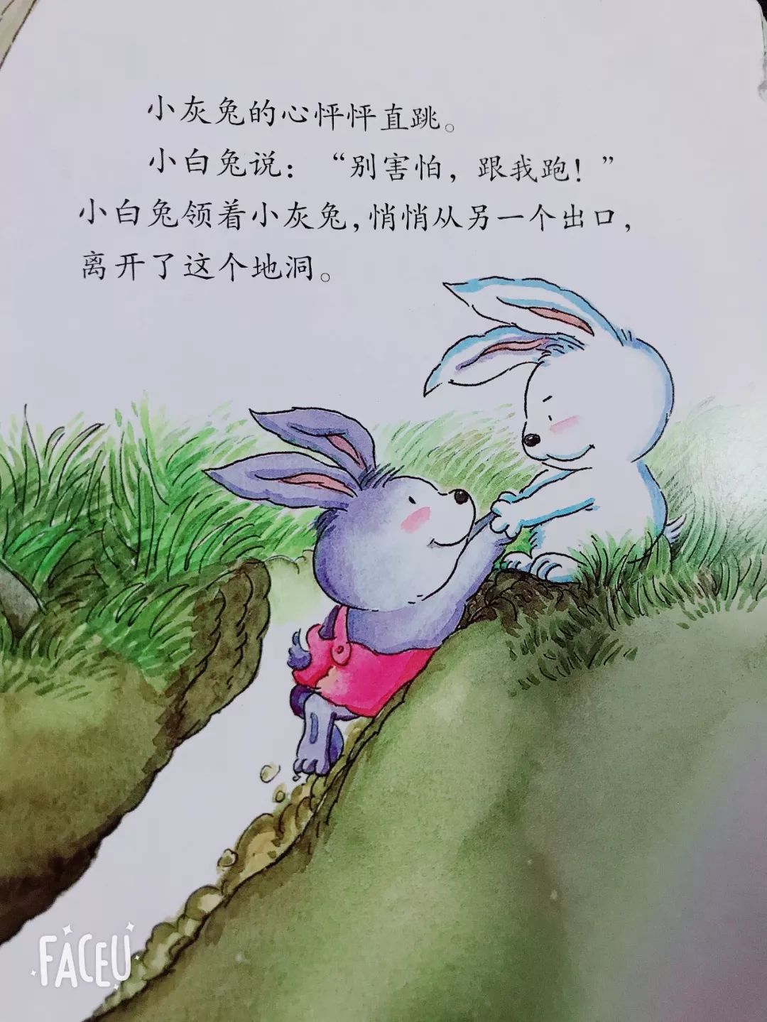 兔子一家|插画|绘本|叽咕兔 - 原创作品 - 站酷 (ZCOOL)