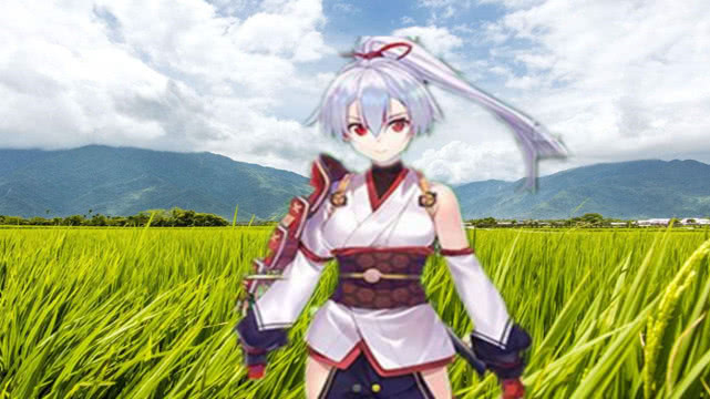 fgo五星概念礼装排%_fgo国服现版本四大劝退礼装禁携带避免大