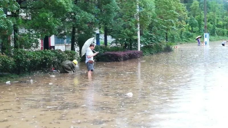 莲花县多少人口_江西莲花县(2)