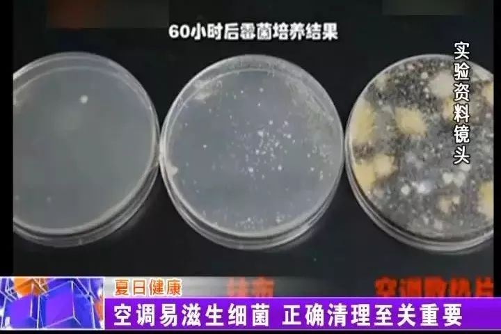 文章配图-8