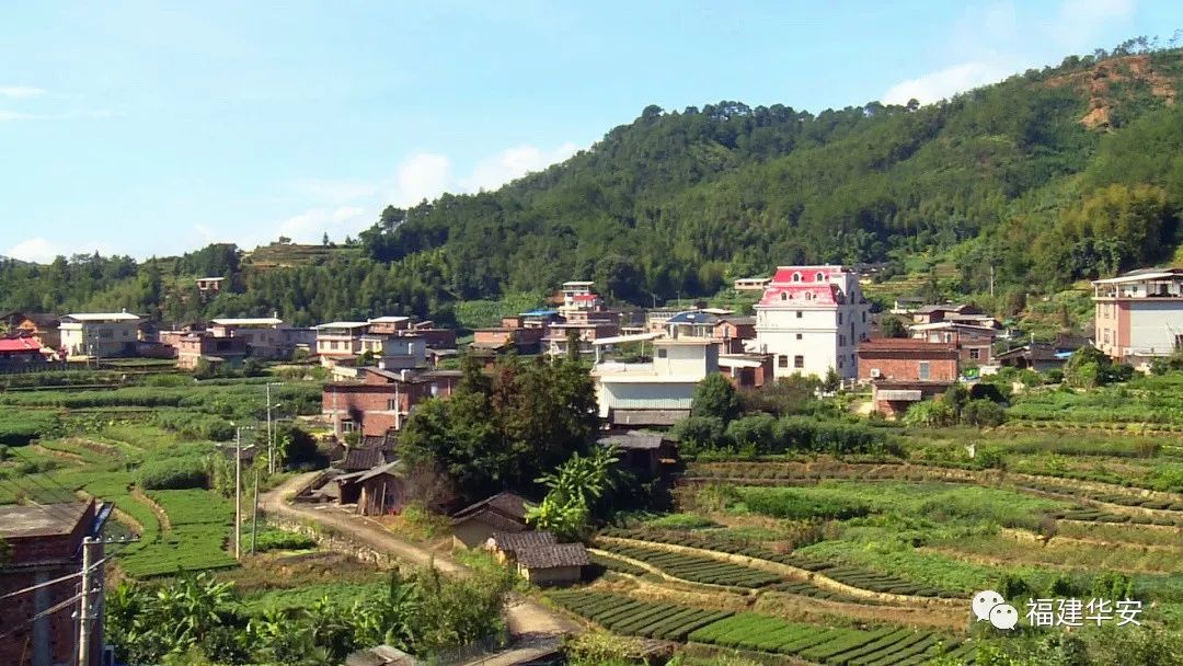 科坑村人口_人口普查(3)
