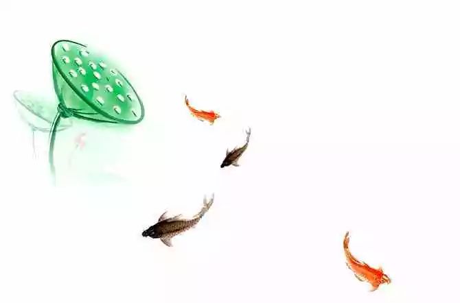医生手记:为什么吃素放生能治病?