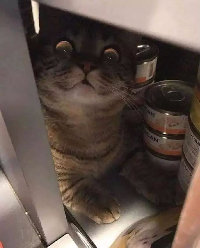 【开心一刻】穿成这样都能禁欲的人得长成什么