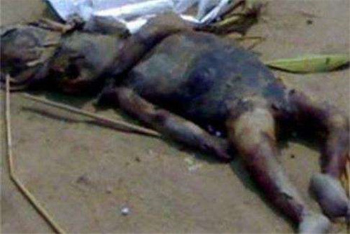 什么是水猴子的图片 c98450bfbaef4338a40068d95c590e41.jpeg