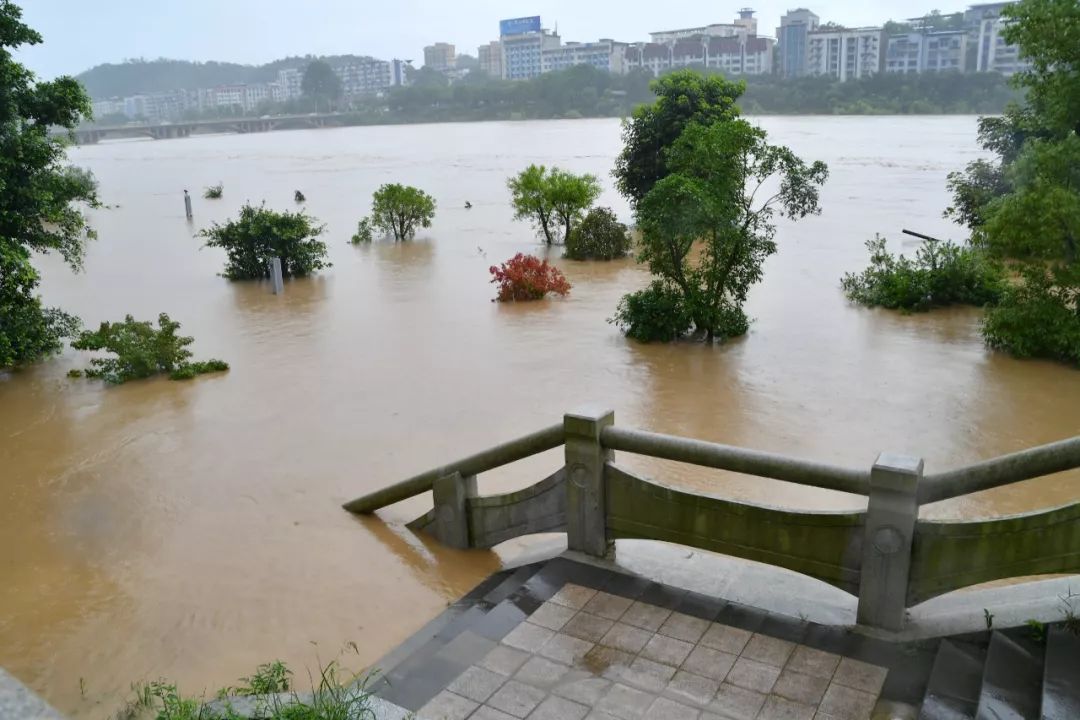 沙县一男子因情感问题跳入湍急的沙溪河中幸好有这些民警