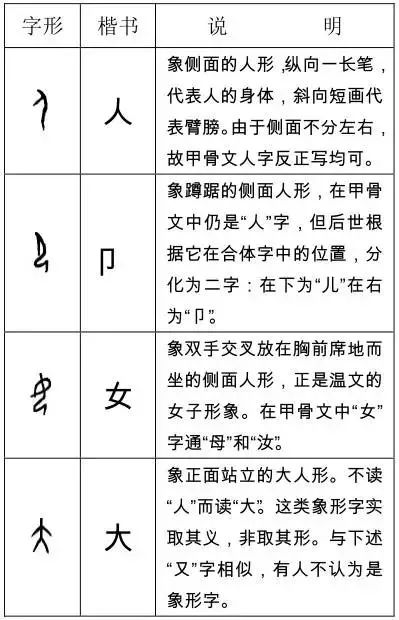 扫盲啦 这些甲骨文字你认识多少 象形