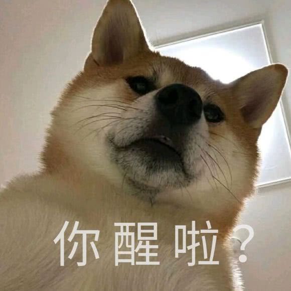 十部撼动人心的必看电影
