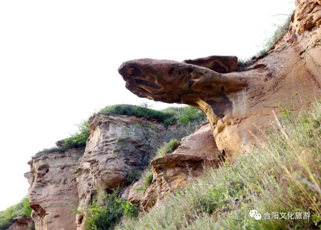 武帝山处女泉福山徐水河湿地公园百种珍禽主要特色美食素有中国最古老