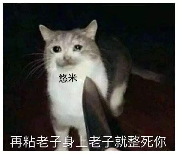 魔法猫咪大招禁锢5个却还是输了团战，今年的洲际赛可以慌但没必要