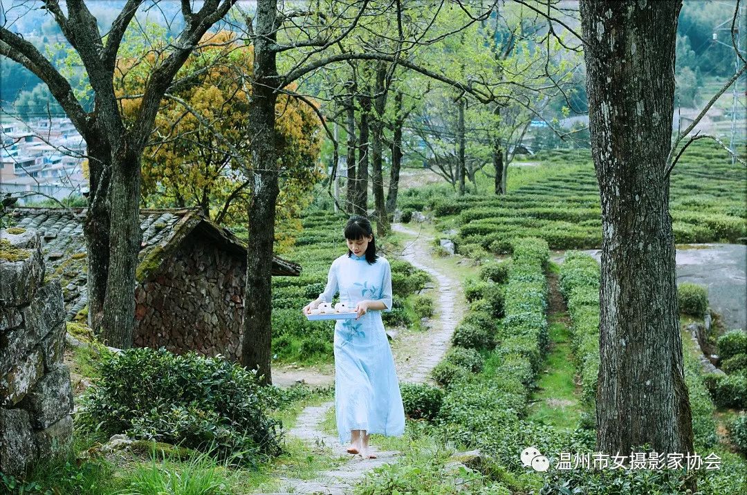 优秀奖《茶仙子》梅春林