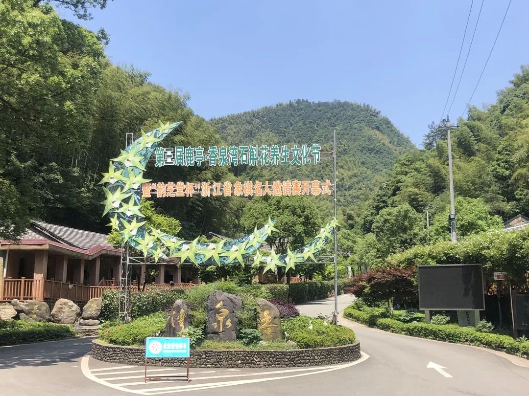 《锦锦有味》节目 带你探寻 "仙草之谷,养生福地" 香泉湾养生旅游度假