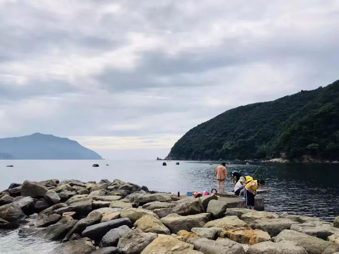 【暑假】名古屋自然学校海洋篇,丰田科技馆,恐龙考古