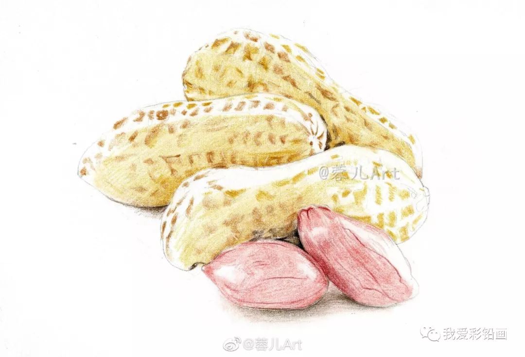 【手绘花生】麻屋子,红帐子,里面住着个白胖子