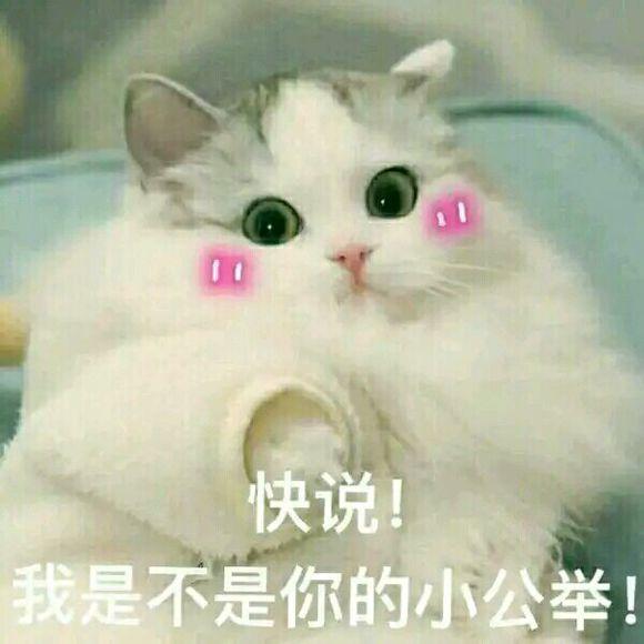 快说,我是不是你的小公举哼,不想理笨蛋小草莓投降发誓爱你一辈几