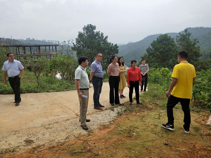 随后,徐贤荣一行还实地考察了枧岭肉鸽场,枧岭滑石