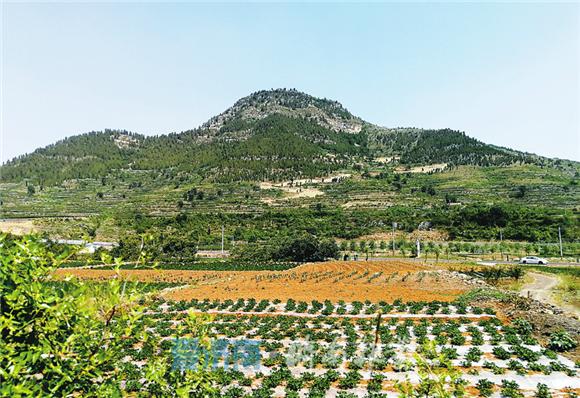 莱芜区仙人山在哪里 为何能被称为“第一山”？