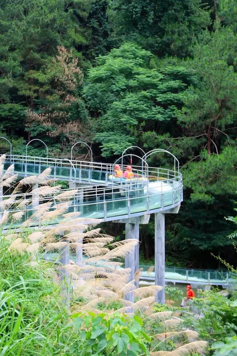 毕业季丨最好的我们,最好的青春!离开天台前,一