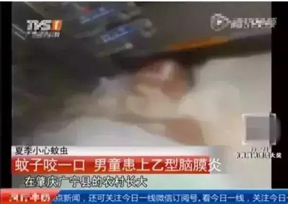                     一个蚊子包竟让3岁宝宝全身瘫痪，这些防蚊措施无效还有害！别再用了！
