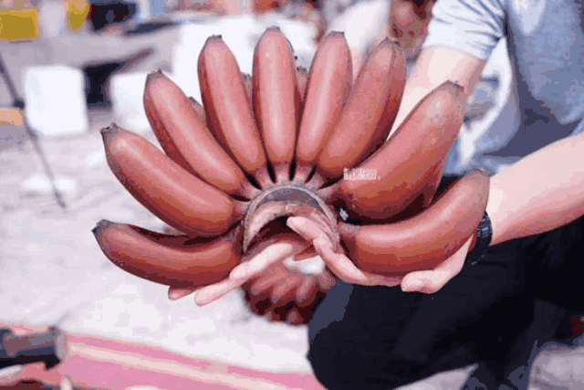 640_427 gif 动态图 动图