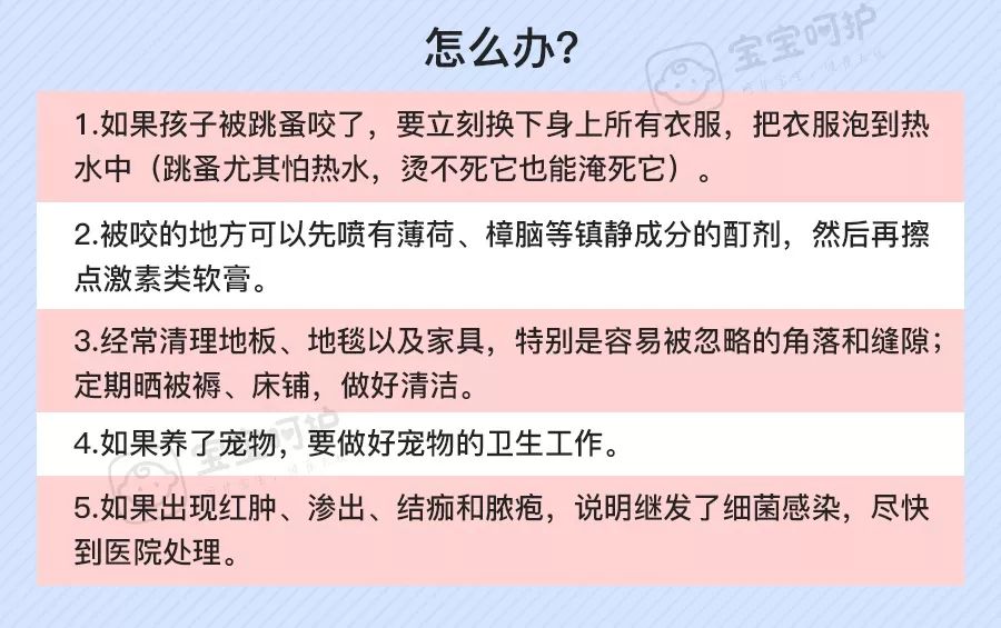                     每年都有孩子因它死亡！不知道这些虫子的可怕，别急着带娃出门