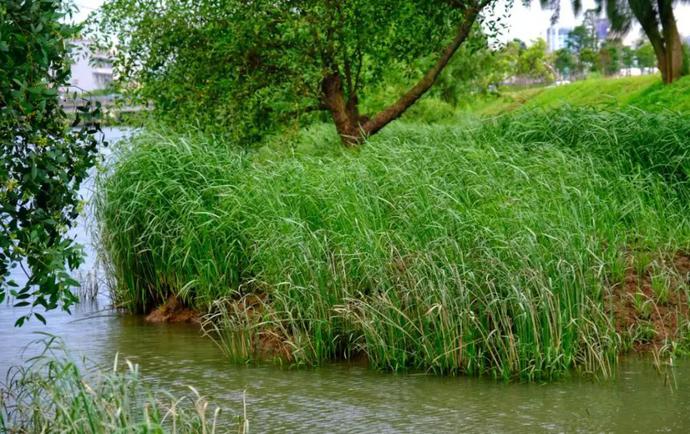 山水林田湖草