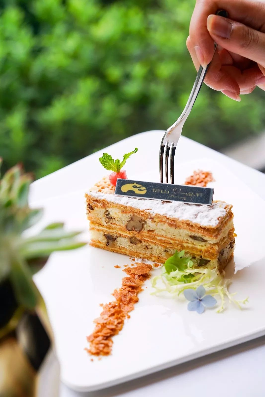 6.8折!藏匿市区的世外桃源开业了,坐拥180°