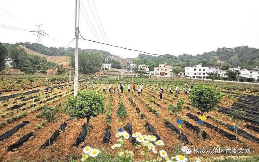 商南县有多少人口_商南县地图(2)