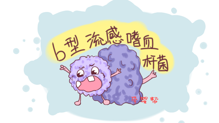                     原创            五联疫苗到底预防哪5种病，什么时候接种合适，这些事你要知道