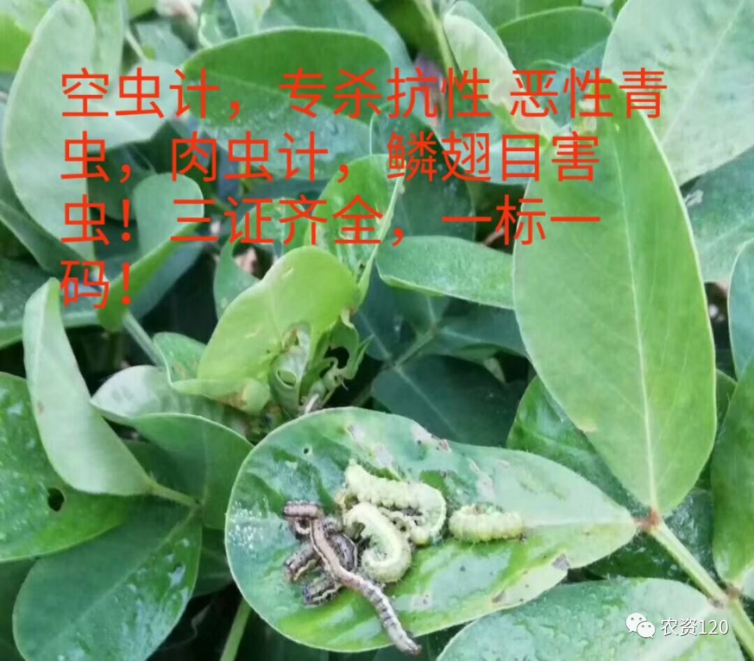 空虫计专杀抗性,恶性青虫,肉虫,鳞翅目害虫,草地贪夜蛾