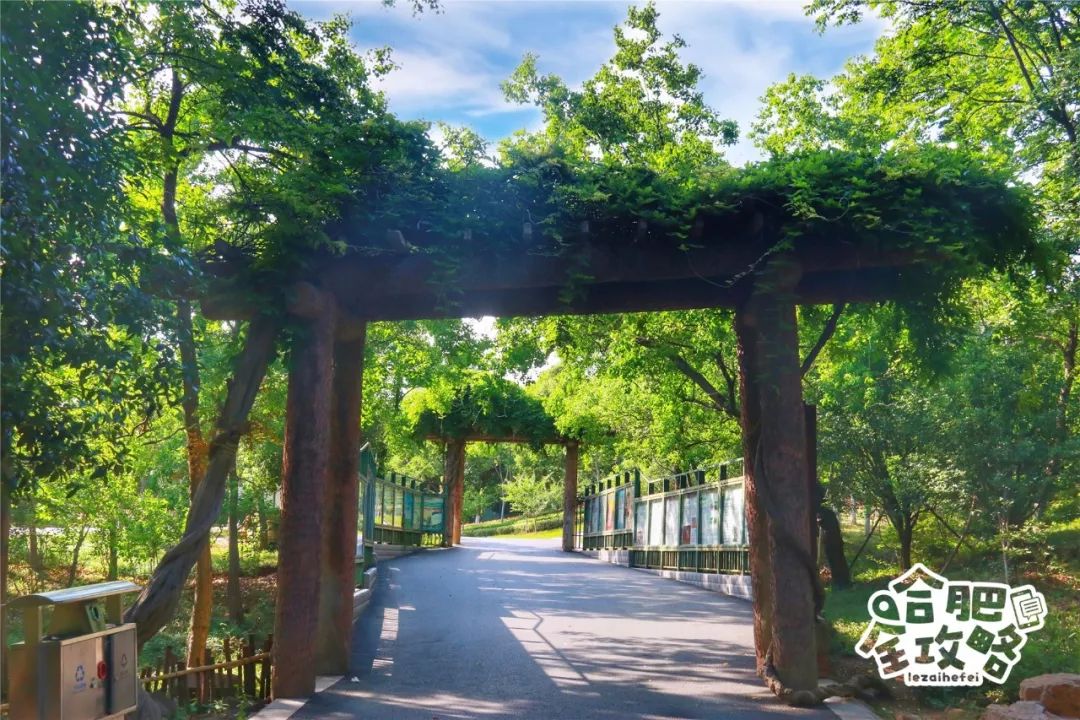 陪伴我们长大的合肥野生动物园!