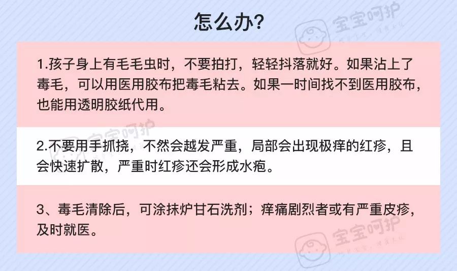                     每年都有孩子因它死亡！不知道这些虫子的可怕，别急着带娃出门