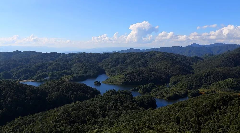 境内有无量山和哀牢山两个国家级自然保护区,总面积3