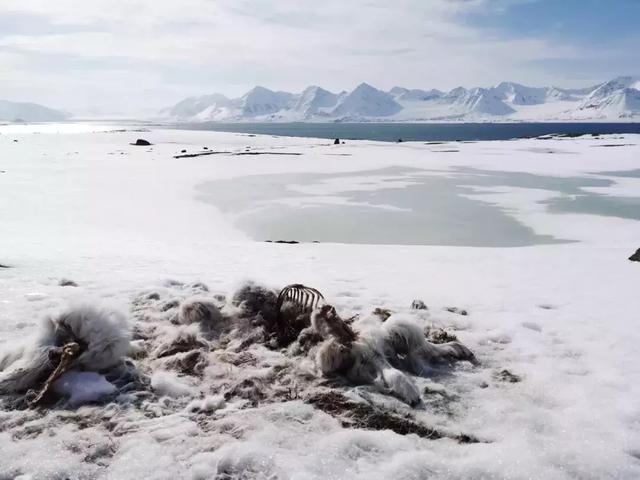 原創
            這對上海的蜜斯妹，帶著國貨之光就往北極探險了！ 旅遊 第11張