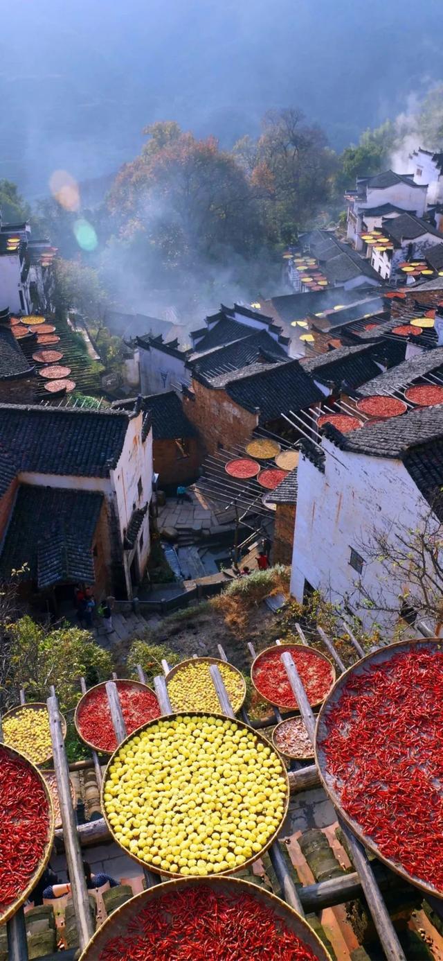 应粉丝要求|私人珍藏版篁岭壁纸来袭,请接好!