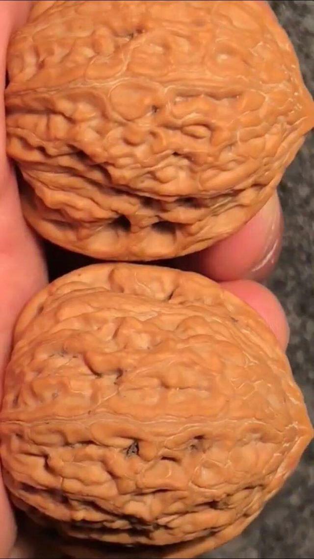 6d05b40eec4c4d7f98c1908b69f3aa8b.jpeg