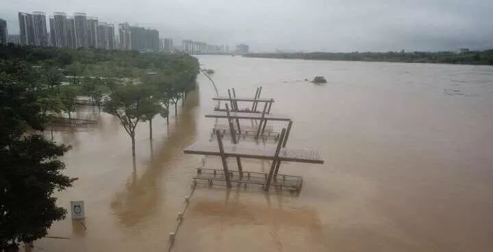 河源市和平县人口_暴雨洪涝致广东河源受灾严重 千余名武警赴一线救灾(2)