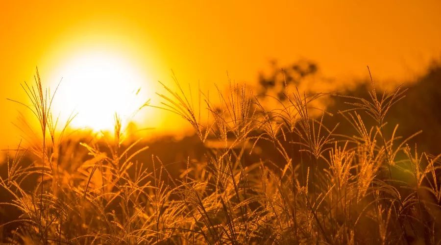 人呐,一晃就老了,别自寻烦恼