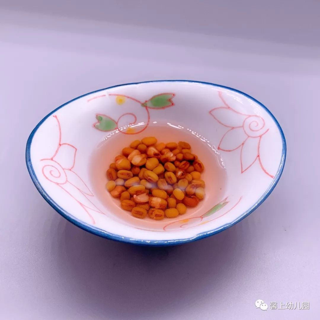 72f4511213e74b649e05d1317c0d6b04.jpeg