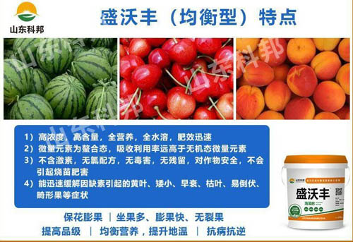 753de09d10eb4dd89706516603793a2c.jpeg