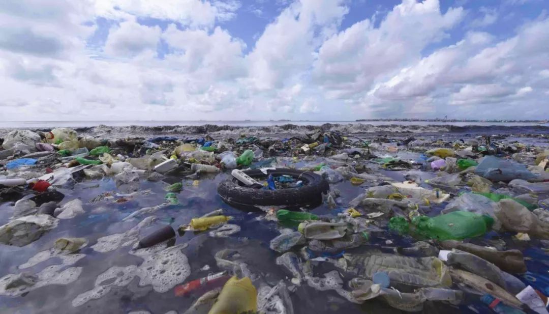 用塑料垃圾做领奖台 东京奥组委吁关注海洋塑料污染
