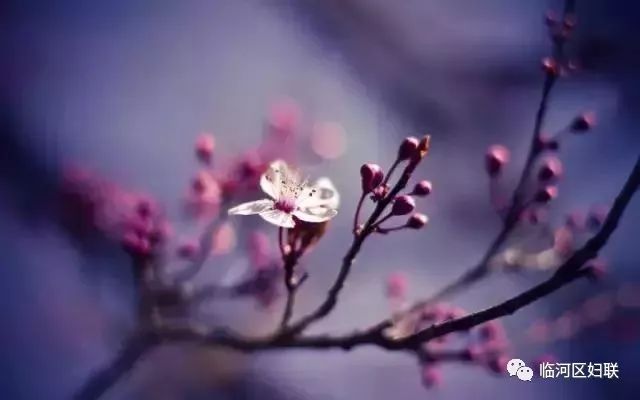 76f2c81f5b8544b6a24fab3b346d7600.jpeg