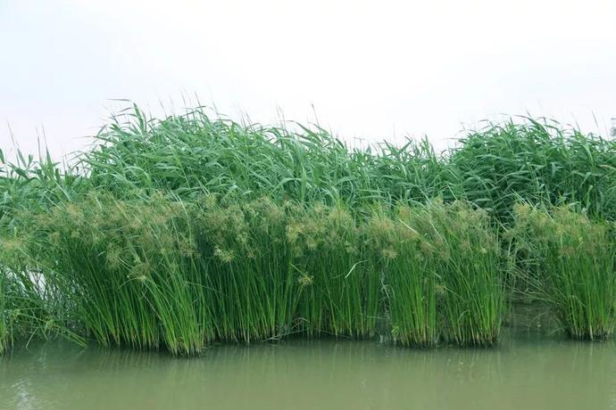 山水林田湖草