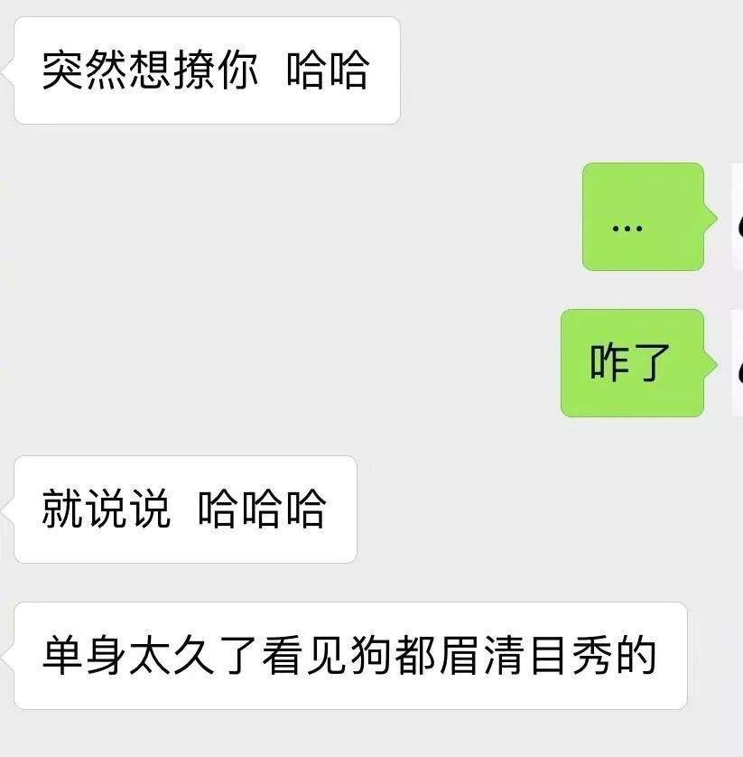 什么火什么青成语_什么是青驰菊(2)