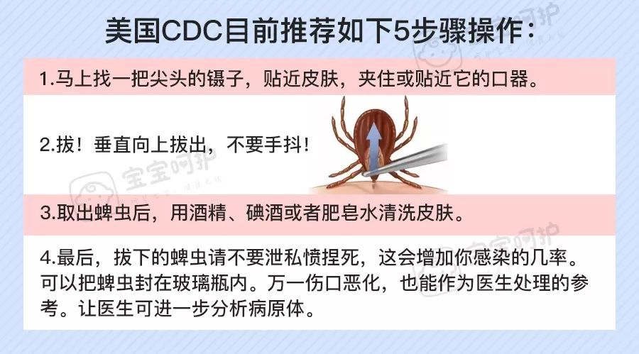                     每年都有孩子因它死亡！不知道这些虫子的可怕，别急着带娃出门