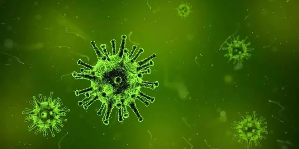 湿疹也可能是由一些 微生物的感染引起的,如 金黄色葡萄球菌,马拉色菌