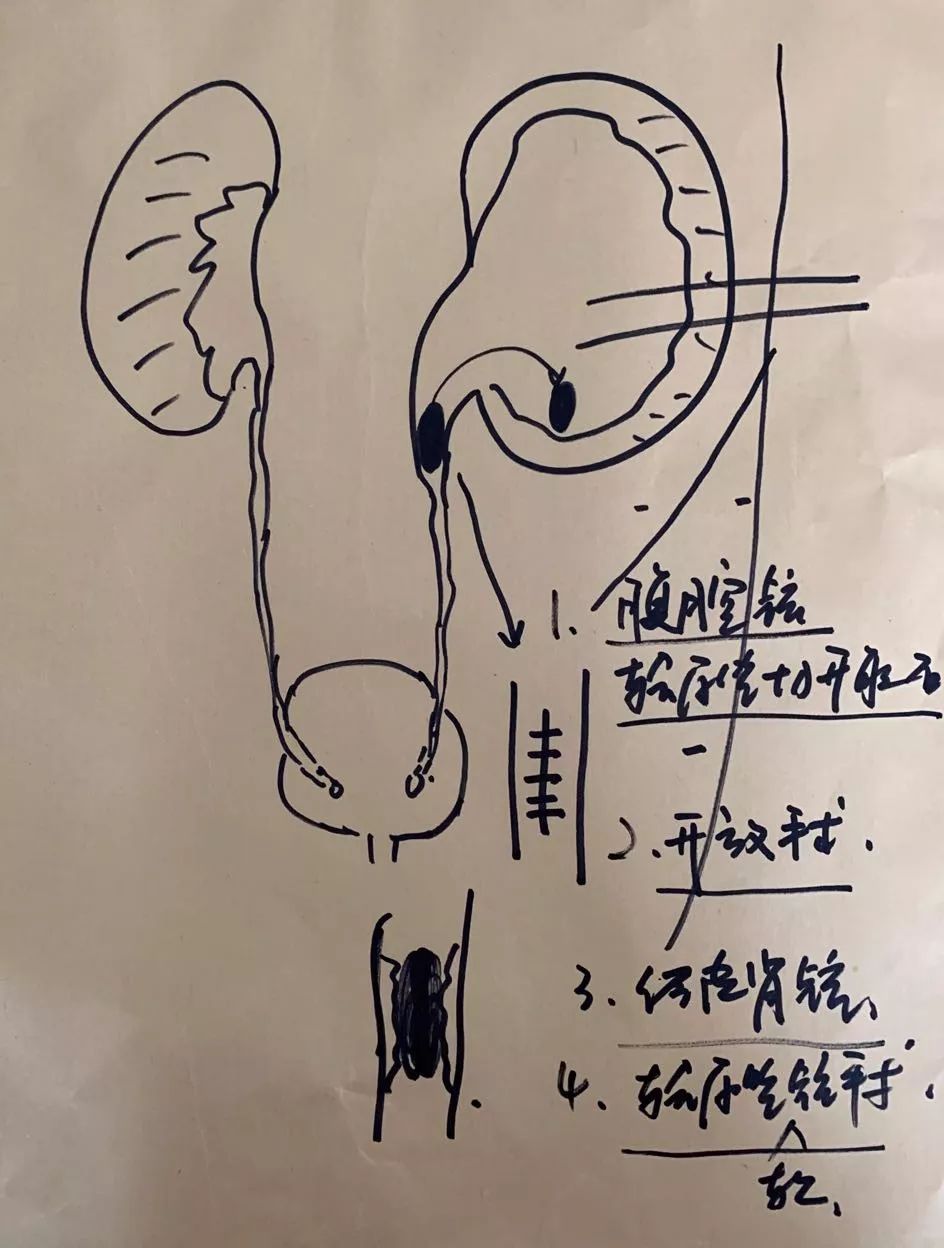" 6月11日上午,淮安市第一人民医院泌尿外科主治医师冀鲁查房时,道出