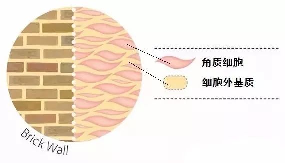                     内含福利！夏季孩子皮肤问题太难缠？护理绝招就看这4个字！