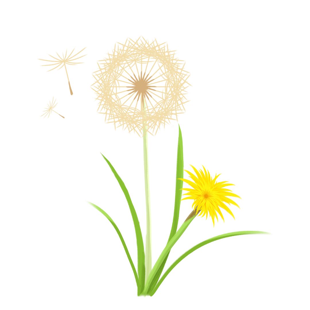 礼美以健康体】青小开展校园危机识别与干预专