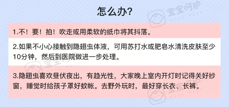                     每年都有孩子因它死亡！不知道这些虫子的可怕，别急着带娃出门